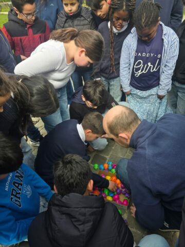 WhatsApp Image 2026-04-03 at 15.53.51